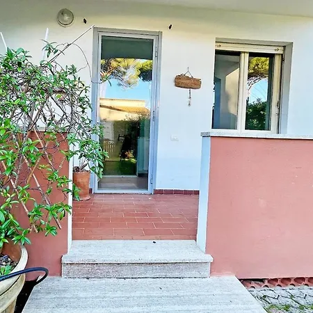 Apartament Windrose Panasini's House *