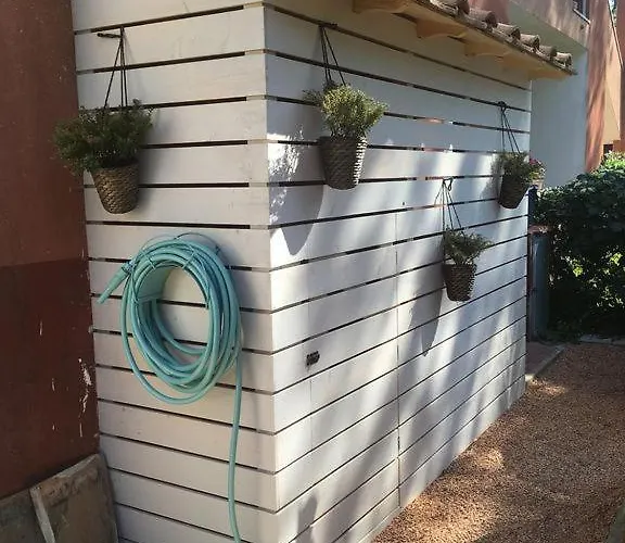 Windrose Panasini's House Apartment Marina di Castagneto Carducci