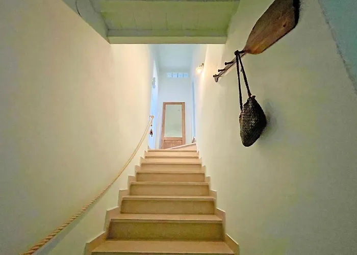 Apartment Windrose Panasini's House *